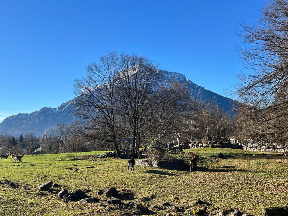 23-12-18 11-25-13 8160